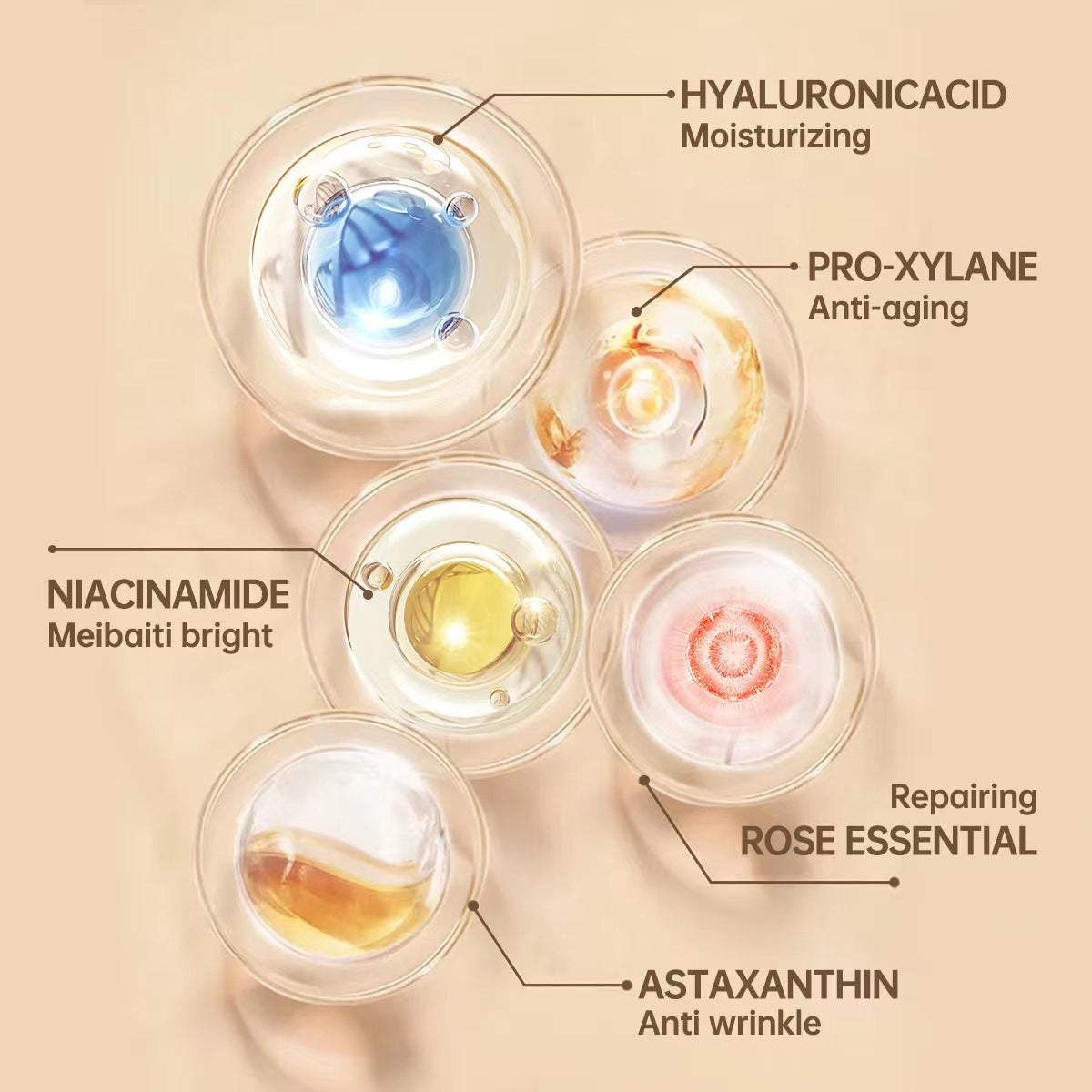 Unleash clearer and smoother skin with High-Concentration Ampoule Serum — your glow starts here.